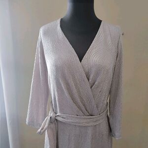 Dessy Collection Shimmering Silver Dress